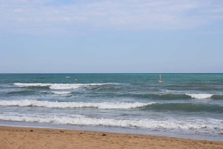 Alquiler - Apartamento - La Mata - Pueblo/ PLAYA