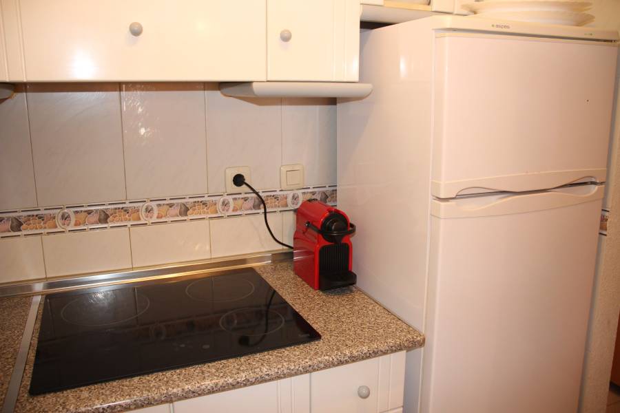 Alquiler - Apartamento - La Mata - Viñamar / PLAYA
