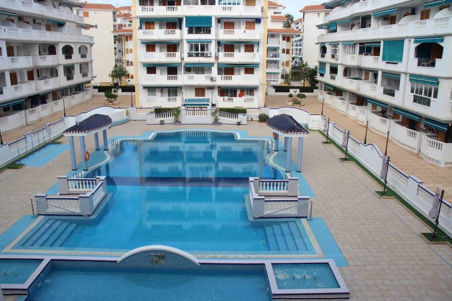 Alquiler - Apartamento - La Mata - Viñamar / PLAYA