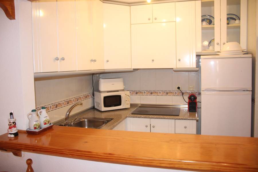 Alquiler - Apartamento - La Mata - Viñamar / PLAYA
