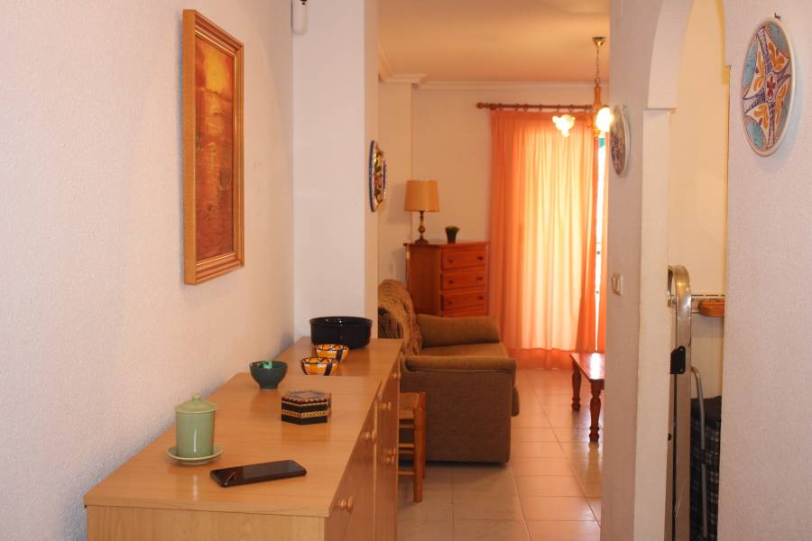 Alquiler - Apartamento - La Mata - Viñamar / PLAYA