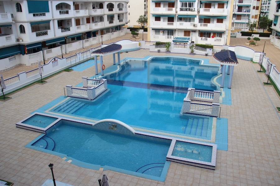 Alquiler - Apartamento - La Mata - Viñamar / PLAYA