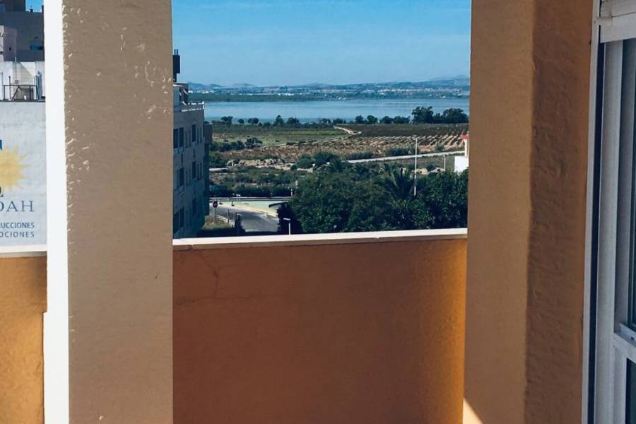 Alquiler - Apartamento - La Mata - Pueblo/ PLAYA